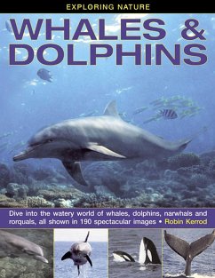 Exploring Nature: Whales & Dolphins - Kerrod, Robin