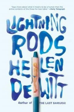 Lightning Rods - DeWitt, Helen