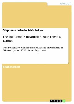 Die Industrielle Revolution nach David S. Landes - Schönfelder, Stephanie Isabella