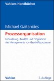 Prozessorganisation (eBook, PDF)