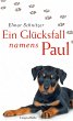 Ein Glücksfall namens Paul (eBook,... - Bild 1