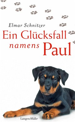 Ein Glücksfall namens Paul (eBook, ePUB) - Schnitzer, Elmar