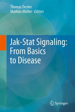 Jak-Stat Signaling : From Basics to Disease (eBook, PDF)