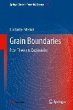 Grain Boundaries (eBook, PDF) - Bild 1