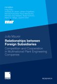 Relationships between Foreign Subsidiaries (eBook, PDF)