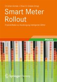 Smart Meter Rollout (eBook, PDF)
