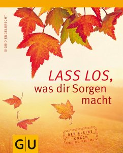 Lass los, was Dir Sorgen macht (eBook, ePUB) - Engelbrecht, Sigrid