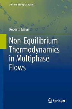 Non-Equilibrium Thermodynamics in Multiphase Flows (eBook, PDF) - Mauri, Roberto