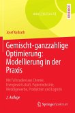 Gemischt-ganzzahlige Optimierung: Modellierung in der Praxis (eBook, PDF)