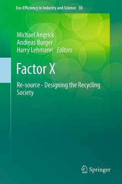 Factor X (eBook, PDF)