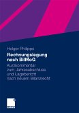 Rechnungslegung nach BilMoG (eBook, PDF)