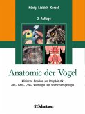 Anatomie der Vögel (eBook, PDF)