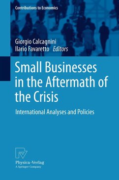 Small Businesses in the Aftermath of the Crisis (eBook, PDF)