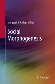 Social Morphogenesis (eBook, PDF)