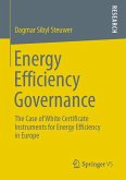 Energy Efficiency Governance (eBook, PDF)