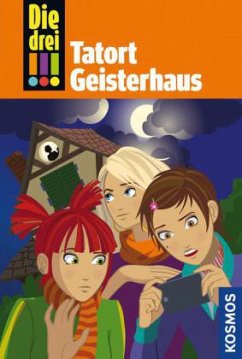 Tatort Geisterhaus / Die drei Ausrufezeichen Bd.45 - Vogel, Maja von