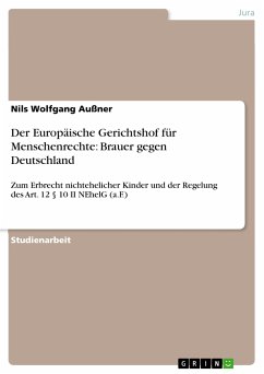 Der Europäische Gerichtshof für Menschenrechte: Brauer gegen Deutschland (eBook, PDF) - Außner, Nils Wolfgang