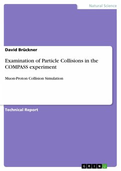 Examination of Particle Collisions in the COMPASS experiment (eBook, PDF)