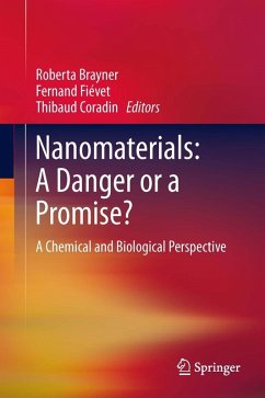 Nanomaterials: A Danger or a Promise? (eBook, PDF)
