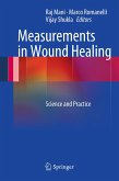 Measurements in Wound Healing (eBook, PDF)
