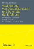 Veränderung von Deutungsmustern und Schemata der Erfahrung (eBook, PDF)