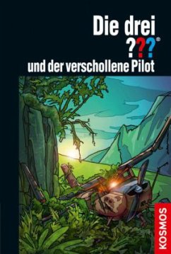 Die drei ??? und der verschollene Pilot / Die drei Fragezeichen Bd.163