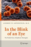 In the Blink of an Eye (eBook, PDF)