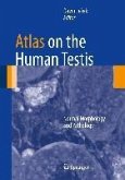 Atlas on the Human Testis (eBook, PDF)