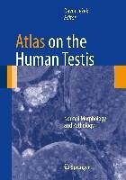 Atlas on the Human Testis (eBook, PDF)