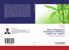 Macro Propagation Techniques In Bambusa vulgaris var. vulgaris - K., Jayachandran;I., Sekar;V., Priyanka