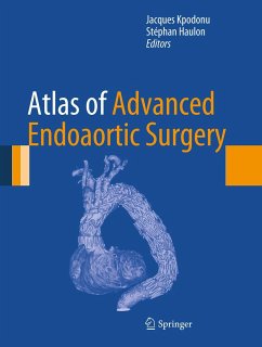 Atlas of Advanced Endoaortic Surgery (eBook, PDF)