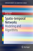 Spatio-temporal Networks (eBook, PDF)