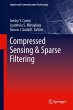 Compressed Sensing & Sparse Filtering - Bild 1