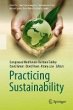 Practicing Sustainability (eBook, PDF) - Bild 1