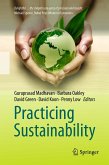 Practicing Sustainability (eBook, PDF)
