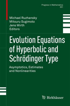 Evolution Equations of Hyperbolic and Schrödinger Type (eBook, PDF)