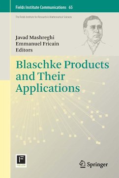 Blaschke Products and Their Applications (eBook, PDF)