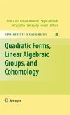 Quadratic Forms, Linear Algebraic Groups, and Cohomology (eBook, PDF)
