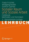 Sozialer Raum und Soziale Arbeit (eBook, PDF)