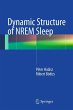 Dynamic Structure of NREM Sleep (eBook,... - Bild 1