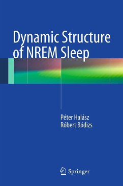 Dynamic Structure of NREM Sleep (eBook, PDF) - Halasz, Peter; Bodizs, Robert