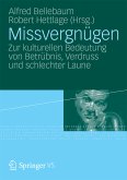 Missvergnügen (eBook, PDF)