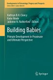 Building Babies (eBook, PDF)