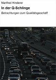 In der Q-Schlinge (eBook, ePUB)