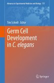 Germ Cell Development in C. elegans (eBook, PDF)