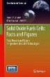 Solid Oxide Fuels Cells: Facts and... - Bild 1