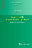 Compressible Navier-Stokes Equations (eBook, PDF)