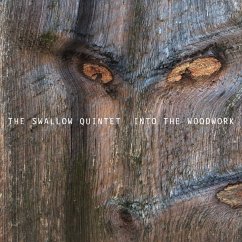 Into The Woodwork - Swallow,Steve Quintet