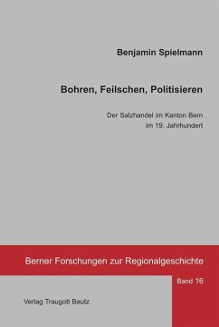 Bohren, Feilschen, Politisieren (eBook, PDF) - Spielmann, Benjamin