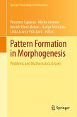 Pattern Formation in Morphogenesis (eBook, PDF)